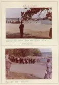 Johns album 1952-1962