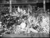 Stockholmsutställningen 1930
Blommor och grönsaker.