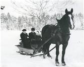 Hubbo sn, Ersbo.
Hästsläde, 1951.