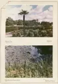 Johns album 1952-1962