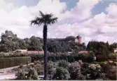 Johns album 1952-1962