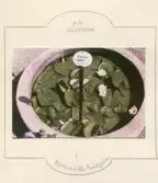 Johns album 1952-1962