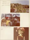 Johns album 1952-1962