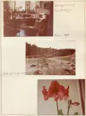 Johns album 1952-1962