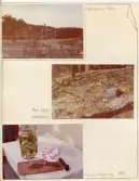 Johns album 1952-1962