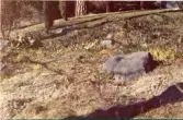 Johns album 1952-1962