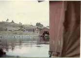 Johns album 1952-1962
