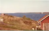 Johns album 1952-1962