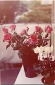 Johns album 1952-1962