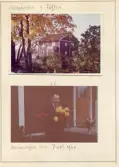 Johns album 1952-1962