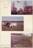 Johns album 1952-1962
