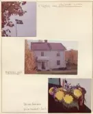 Johns album 1952-1962