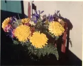 Johns album 1952-1962