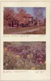 Johns album 1952-1962