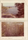 Johns album 1952-1962