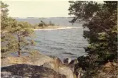 Johns album 1952-1962
