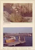 Johns album 1952-1962