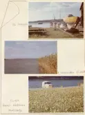Johns album 1952-1962