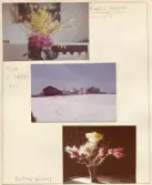 Johns album 1952-1962
