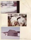 Johns album 1952-1962