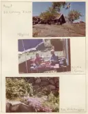 Johns album 1952-1962