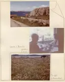 Johns album 1952-1962