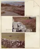 Johns album 1952-1962