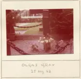 Johns album 1952-1962