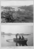 Johns album 1953