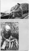 Johns album 1953
