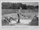 Johns album 1953