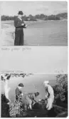 Johns album 1953