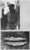Johns album 1953