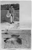 Johns album 1953