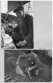 Johns album 1953