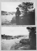 Johns album 1953