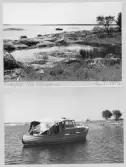 Johns album 1953