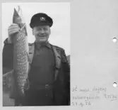 Johns album 1953