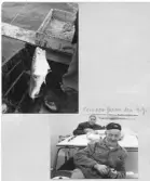 Johns album 1953