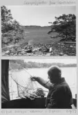 Johns album 1953