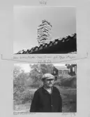 Johns album 1953