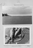Johns album 1953
