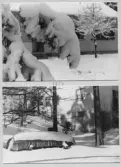 Johns album 1954-1959