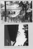 Johns album 1954-1959