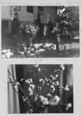 Johns album 1954-1959