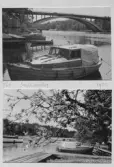 Johns album 1954-1960