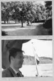 Johns album 1954-1960
