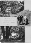 Johns album 1954-1960