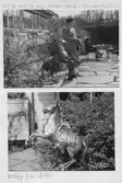 Johns album 1958-1962