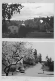 Johns album 1958-1962